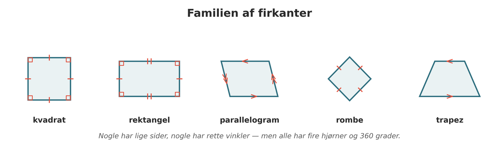 Firkanternes familie